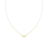 Colier aur 14K cu aripi DiAmanti PL0830NG14K-AS